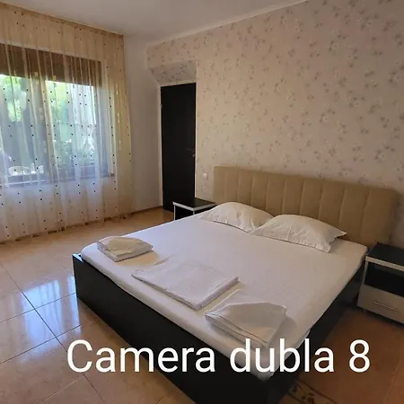 Pensiunea Alegria 3* 艾福雷诺德