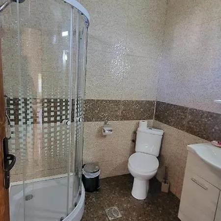 Pensiunea Alegria 艾福雷诺德