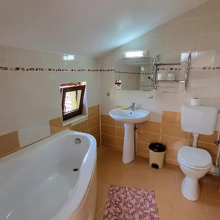 Pensiunea Alegria 招待所