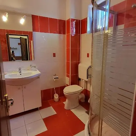 Pensiunea Alegria 招待所 3*