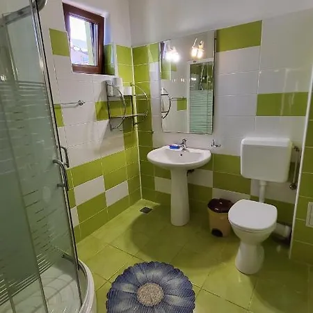 Pensiunea Alegria 3* 艾福雷诺德