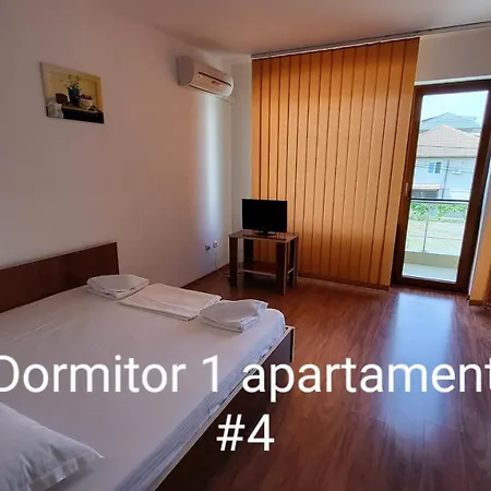 Pensiunea Alegria 招待所 3*