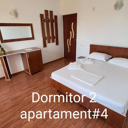 Pensiunea Alegria 招待所