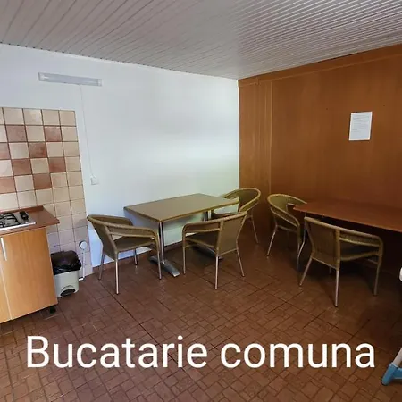 Pensiunea Alegria 招待所