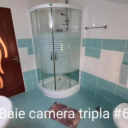 Pensiunea Alegria 3* 艾福雷诺德