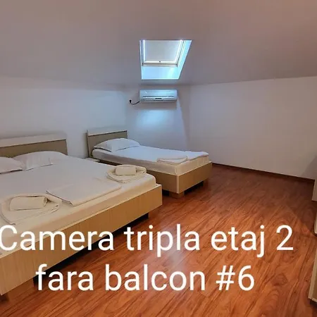 Pensiunea Alegria 招待所 3*