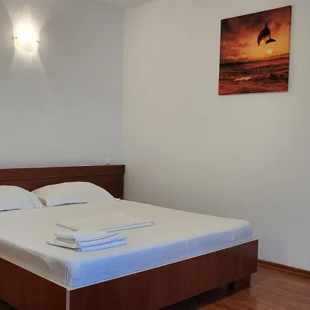 Pensiunea Alegria 3* 艾福雷诺德