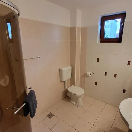 Pensiunea Alegria 招待所 艾福雷诺德