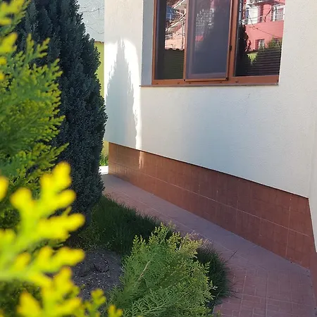 Pensiunea Alegria 招待所 3*