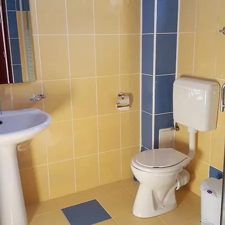 招待所 Pensiunea Alegria 3*