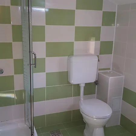 Pensiunea Alegria 3*