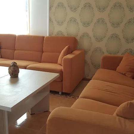 招待所 Pensiunea Alegria 3*