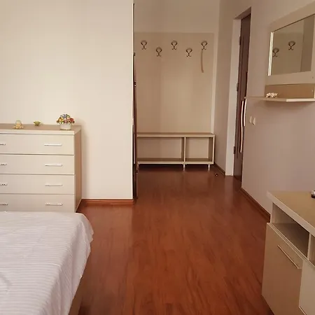 Pensiunea Alegria 招待所