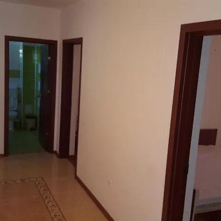 Guest house Pensiunea Alegria