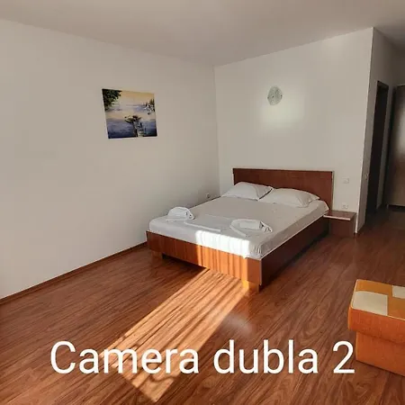 Guest house Pensiunea Alegria