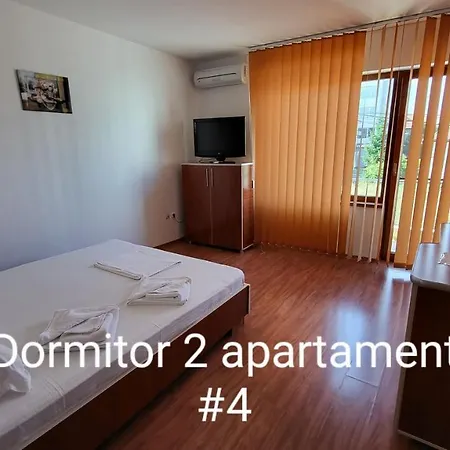 Pensiunea Alegria Guest house *
