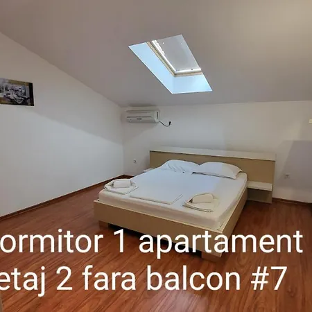Pensiunea Alegria Guest house