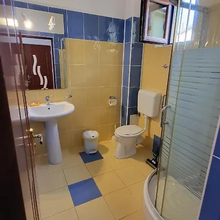 Pensiunea Alegria 3* 데포리노드