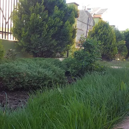 Pensiunea Alegria