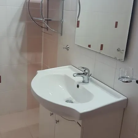 Guest house Pensiunea Alegria *